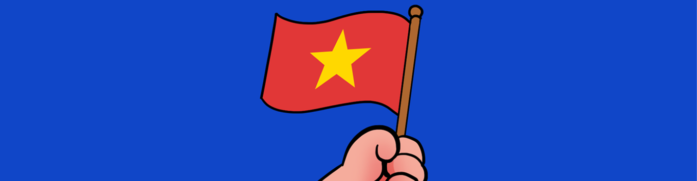 VN